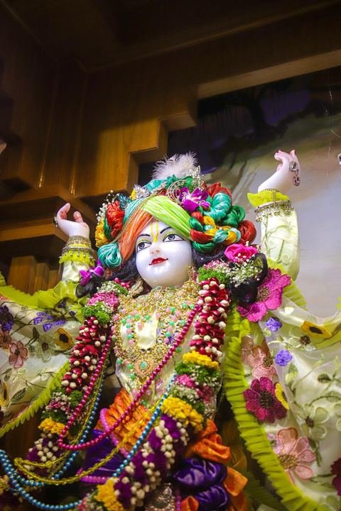 गौर पौर्णिमा निमित्त सुशोभित श्री श्री गौर-नीताई, इस्कॉन सातारा — छायाचित्र १ / १७
