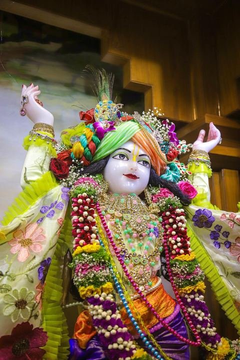 गौर पौर्णिमा निमित्त सुशोभित श्री श्री गौर-नीताई, इस्कॉन सातारा — छायाचित्र २ / १७