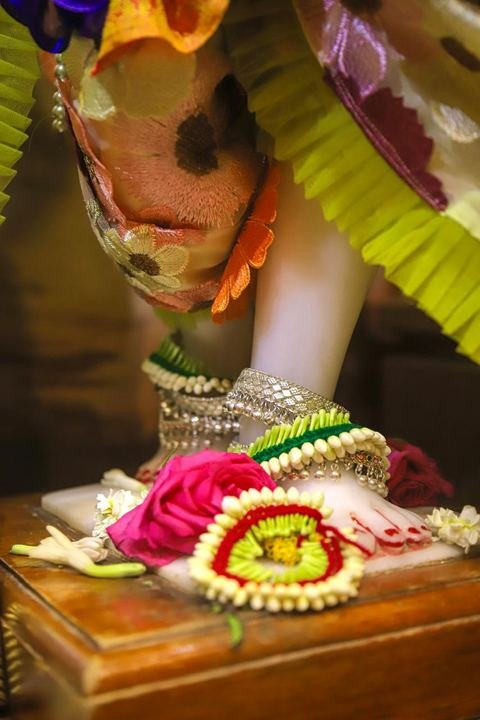 गौर पौर्णिमा निमित्त सुशोभित श्री श्री गौर-नीताई, इस्कॉन सातारा — छायाचित्र ३ / १७