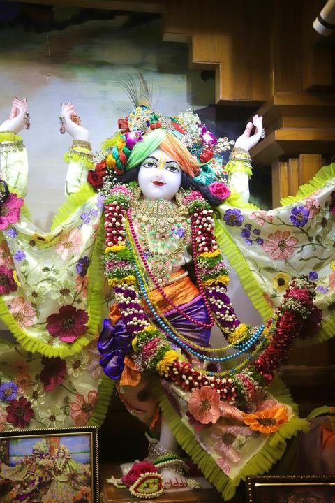 गौर पौर्णिमा निमित्त सुशोभित श्री श्री गौर-नीताई, इस्कॉन सातारा — छायाचित्र ४ / १७