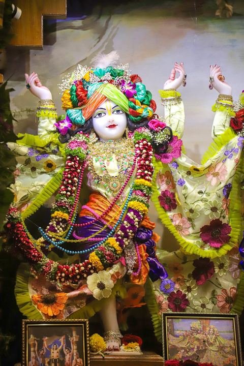 गौर पौर्णिमा निमित्त सुशोभित श्री श्री गौर-नीताई, इस्कॉन सातारा — छायाचित्र ५ / १७