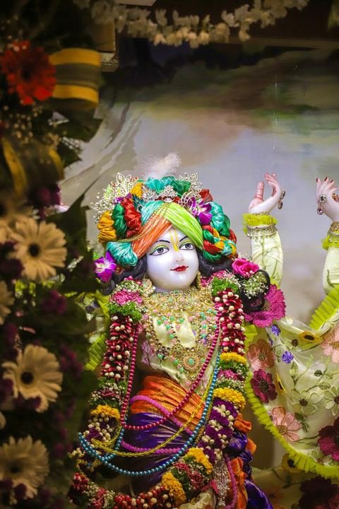 गौर पौर्णिमा निमित्त सुशोभित श्री श्री गौर-नीताई, इस्कॉन सातारा — छायाचित्र ७ / १७