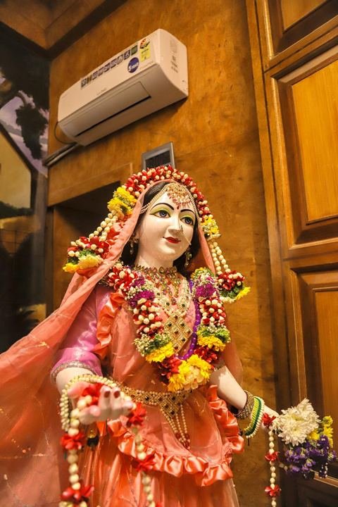 गौर पौर्णिमा निमित्त सुशोभित श्री श्री गौर-नीताई, इस्कॉन सातारा — छायाचित्र १० / १७