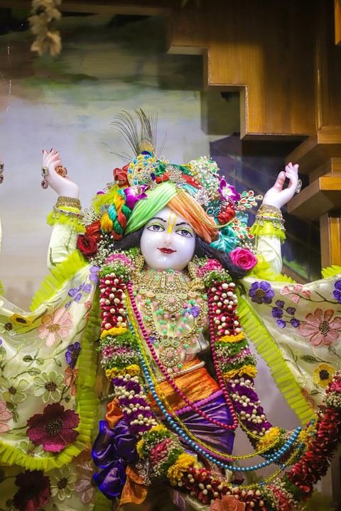 गौर पौर्णिमा निमित्त सुशोभित श्री श्री गौर-नीताई, इस्कॉन सातारा — छायाचित्र ११ / १७