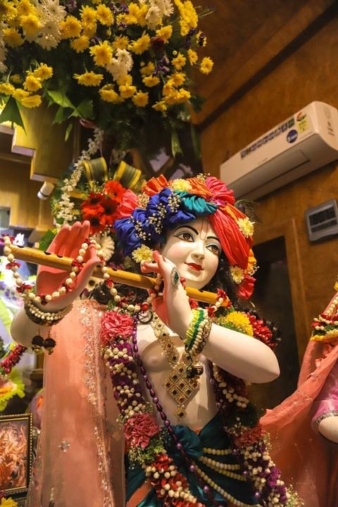 गौर पौर्णिमा निमित्त सुशोभित श्री श्री गौर-नीताई, इस्कॉन सातारा — छायाचित्र १२ / १७