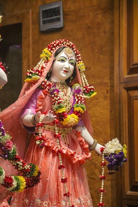 गौर पौर्णिमा निमित्त सुशोभित श्री श्री गौर-नीताई, इस्कॉन सातारा — छायाचित्र १३ / १७