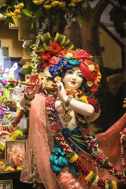 गौर पौर्णिमा निमित्त सुशोभित श्री श्री गौर-नीताई, इस्कॉन सातारा — छायाचित्र १४ / १७