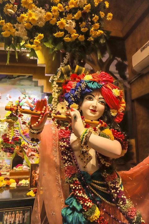 गौर पौर्णिमा निमित्त सुशोभित श्री श्री गौर-नीताई, इस्कॉन सातारा — छायाचित्र १५ / १७