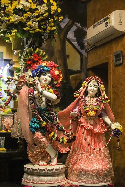 गौर पौर्णिमा निमित्त सुशोभित श्री श्री गौर-नीताई, इस्कॉन सातारा — छायाचित्र १६ / १७