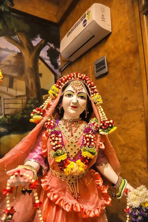 गौर पौर्णिमा निमित्त सुशोभित श्री श्री गौर-नीताई, इस्कॉन सातारा — छायाचित्र १७ / १७