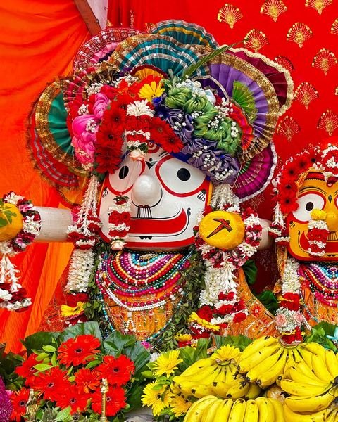 रथयात्रा २०२६ निमित्त सुशोभित भगवान जगन्नाथ, बलदेव आणि सुभद्रा, इस्कॉन सातारा — छायाचित्र ७ / १६