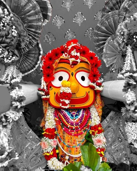 रथयात्रा २०२६ निमित्त सुशोभित भगवान जगन्नाथ, बलदेव आणि सुभद्रा, इस्कॉन सातारा — छायाचित्र १० / १६