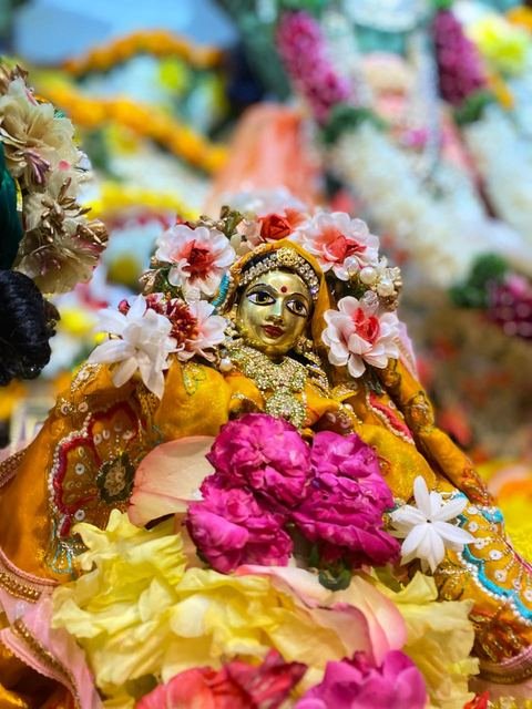 पुष्प अभिषेकासाठी फुलांनी सजवलेले विग्रह, इस्कॉन सातारा — छायाचित्र ६ / १०
