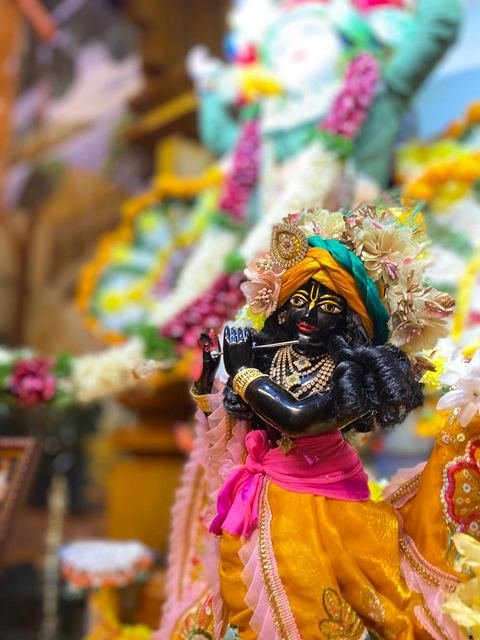 पुष्प अभिषेकासाठी फुलांनी सजवलेले विग्रह, इस्कॉन सातारा — छायाचित्र १० / १०